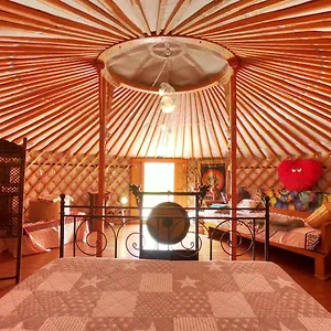  Luxury tent Kikiki Yurta